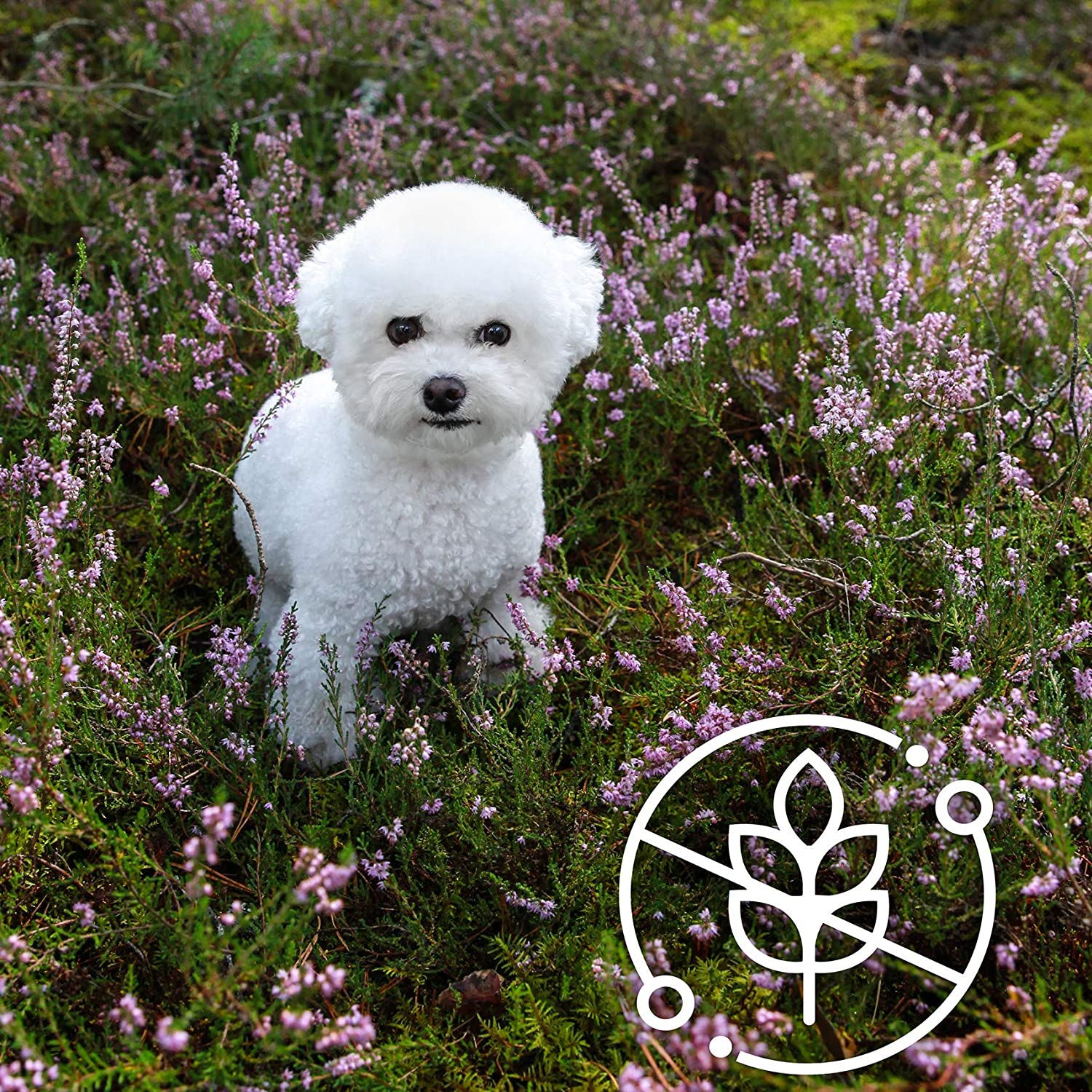 Nature's Protection Superior Care White Dogs Lamb Adult Small and Mini Breeds