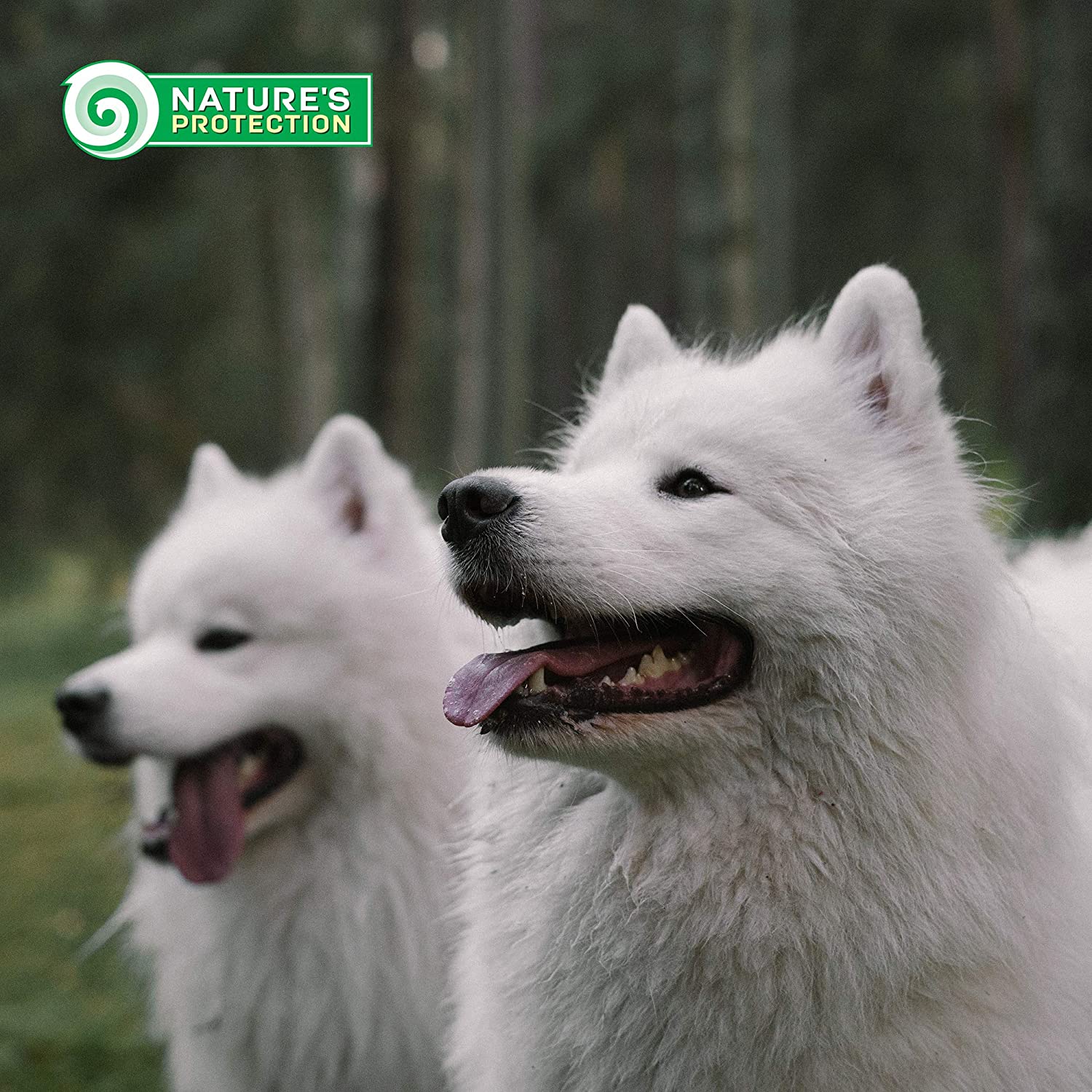 Nature's Protection Superior Care White Dogs Grain Free Salmon Junior All Breeds